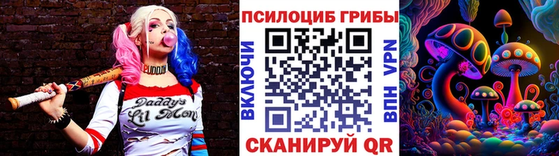 Псилоцибиновые грибы мицелий  как найти   Жуковский 